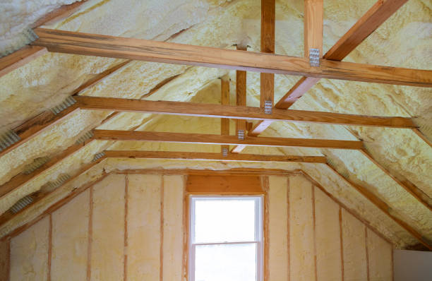Best Types of Insulation in Kula, HI