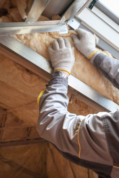 Best Commercial Insulation in Kula, HI